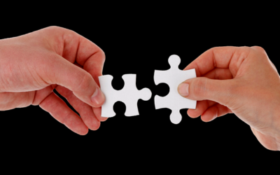 Unveiling a New Era: The Strategic Partnership of BC Web Wise and Lightstorm Ignites Digital Marketing Revolution