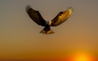 Snapchat’s Earnings Soar with Surge in Paid Subscriptions