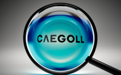 Optimizing Google Ads with Search Themes: Expanding Reach and Boosting Conversions