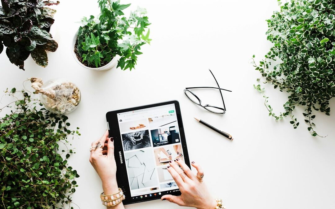 IDMI.Net Spearheads the Future of Online Accessibility and User Engagement