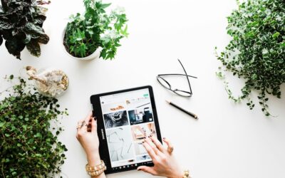 IDMI.Net Spearheads the Future of Online Accessibility and User Engagement